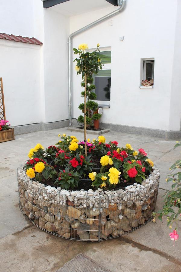 Pension Budissin Bautzen Buitenkant foto